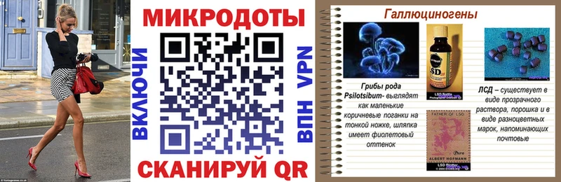 Псилоцибиновые грибы Psilocybe  Тейково 